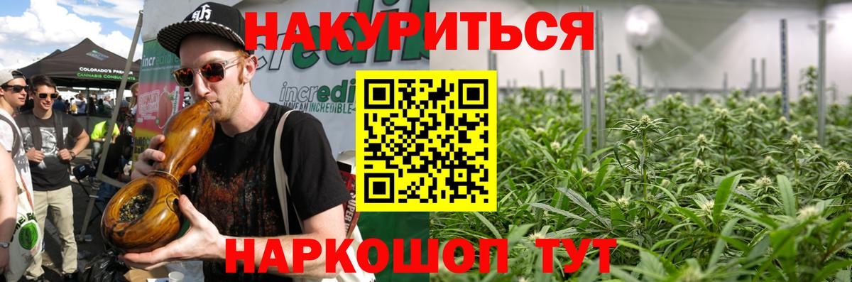Канабис планчик Алексин